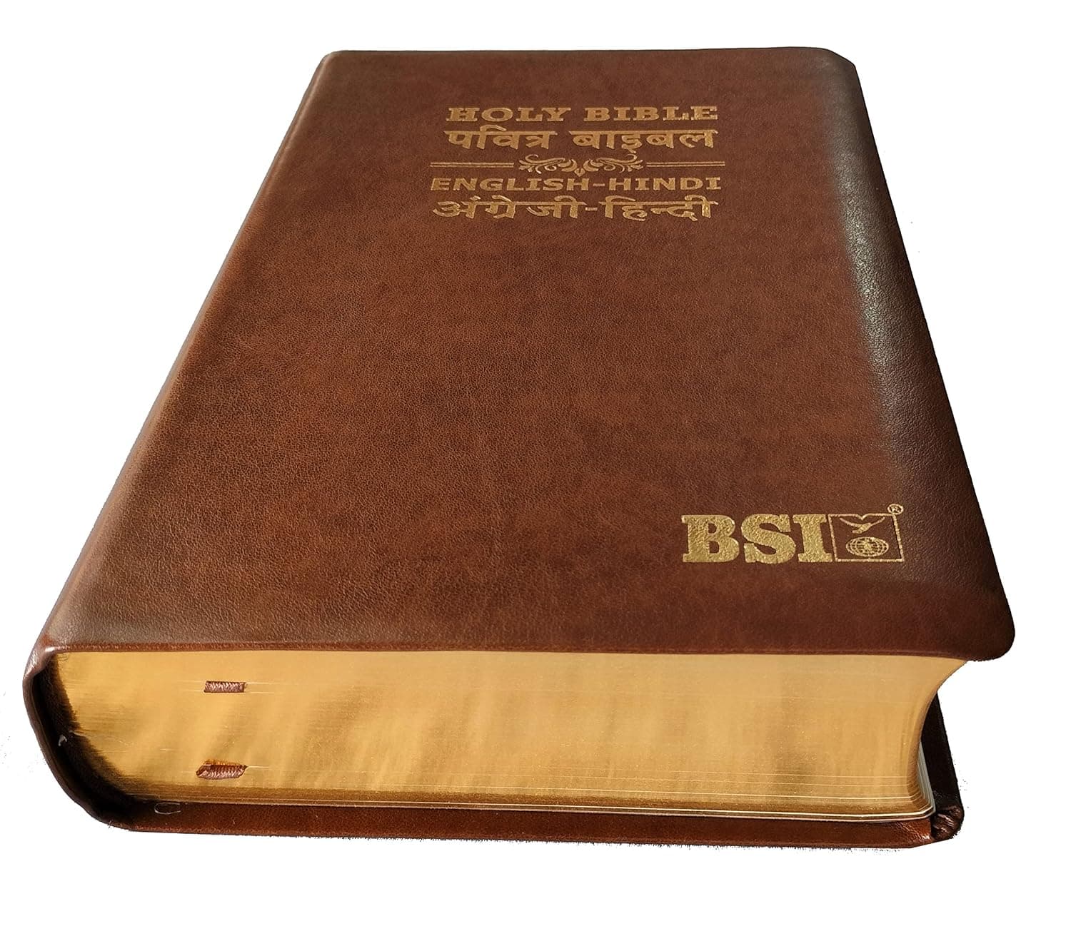 ESV Hindi Diglot Bible by God's Word — Hindi/English